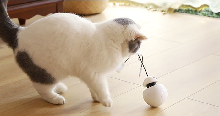 Cat toy funny cat toy three in one robot tumbler laser cat toy